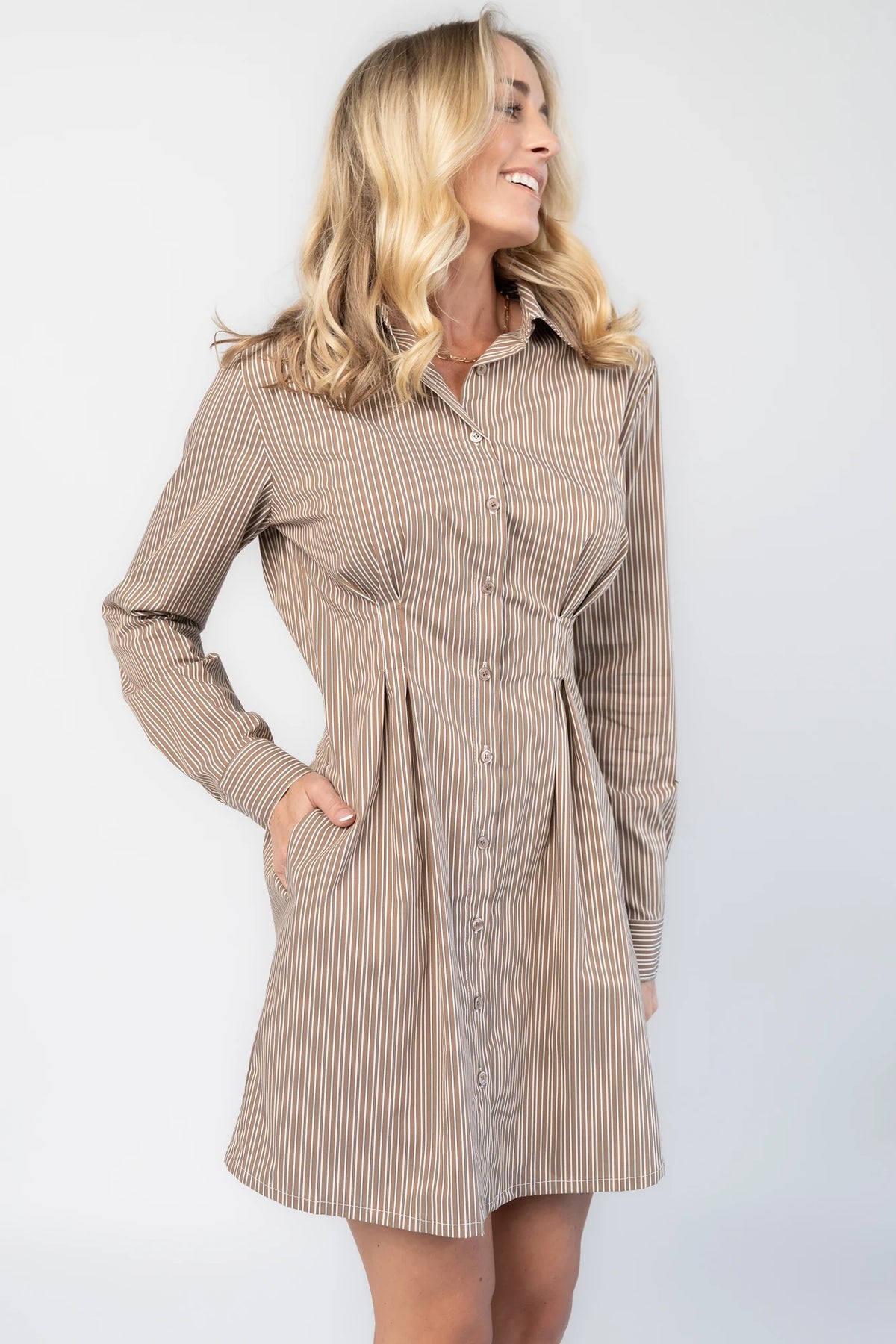 Hailey Shirt Dress | Taupe Stripe