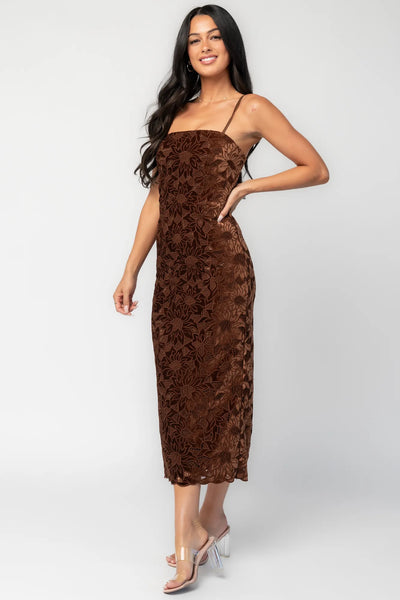kensington backless midi dress Baltic Born Womens Kensington Lace Midi Dress | Espresso