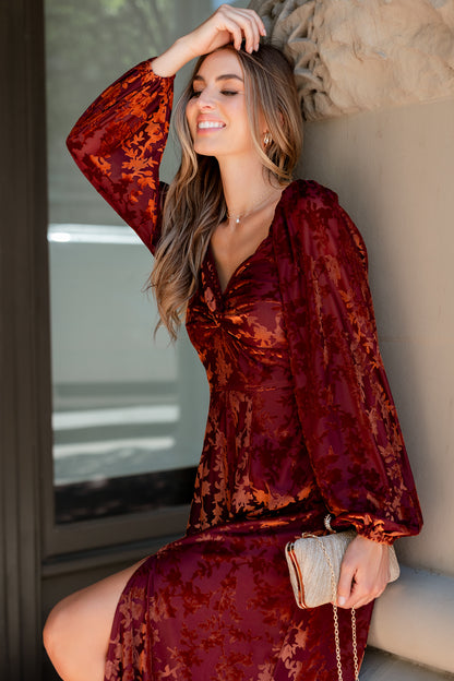 Aurora Velvet Maxi Dress | Clove + Copper Floral