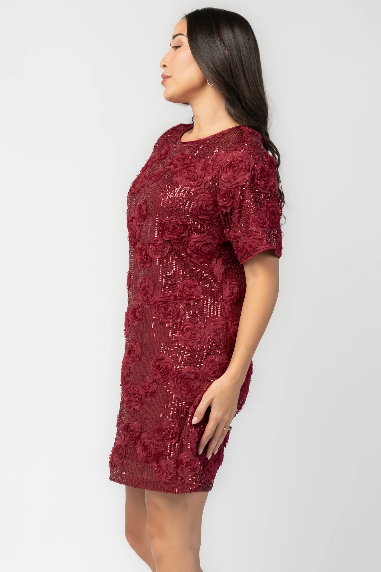 Rhea Sequin Short Dress | Burgundy