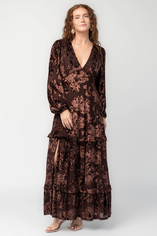 Liana Velvet Embossed Maxi Dress | Brown