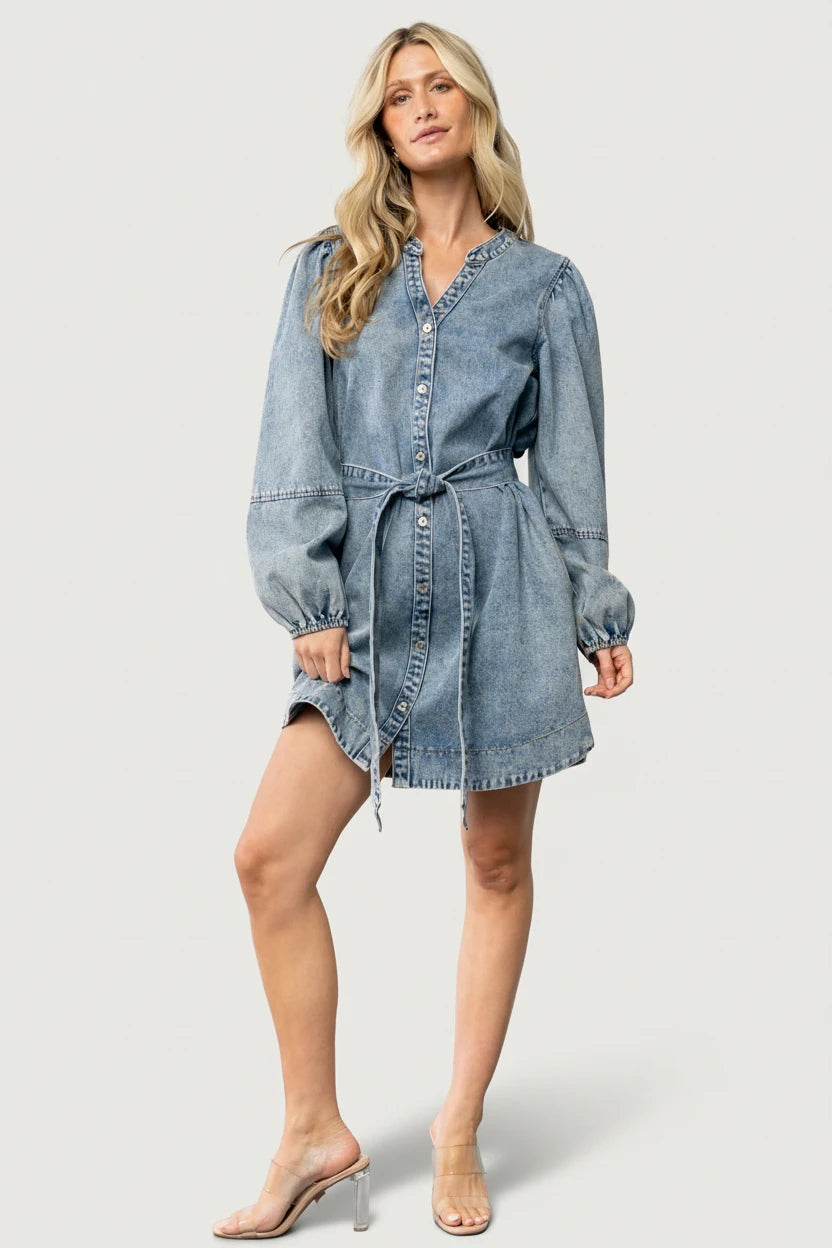 Tora Denim Dress | Light Wash