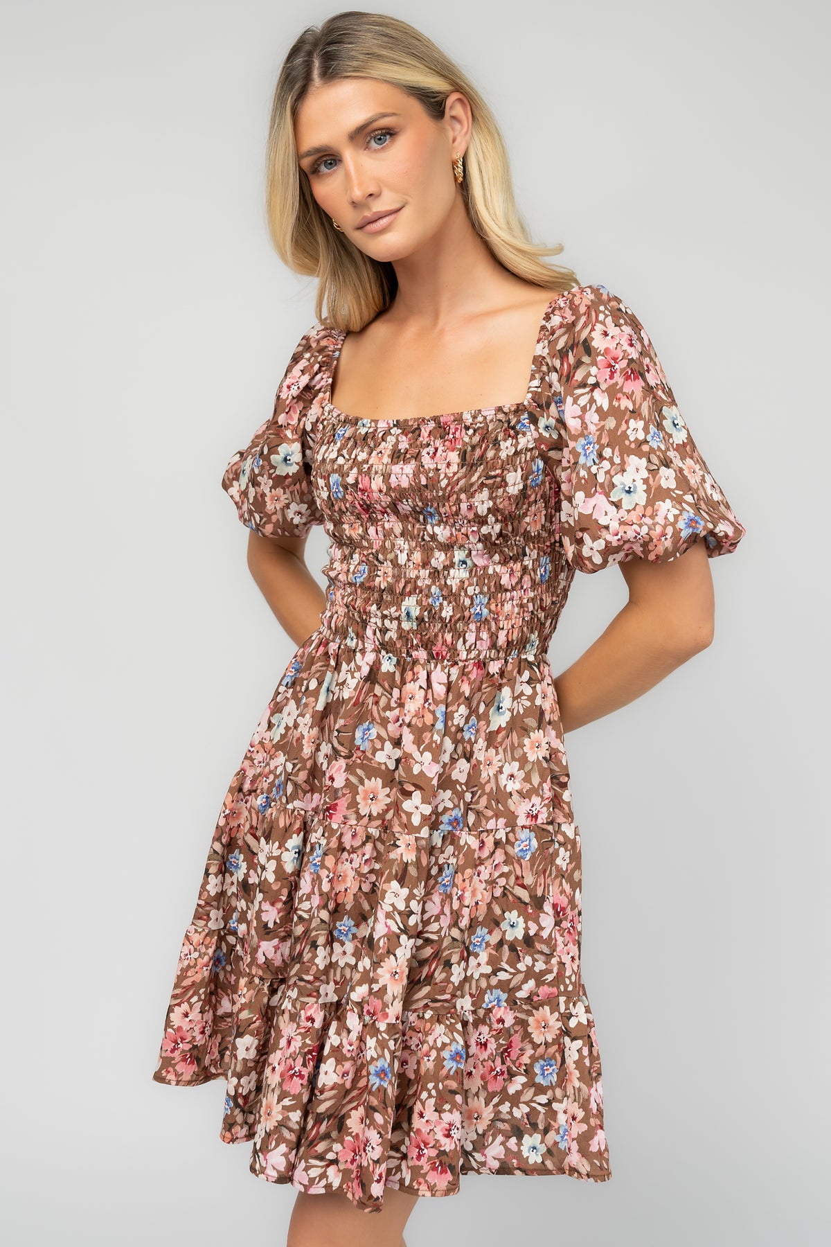 Daze Smocked Dress | Brown Multi