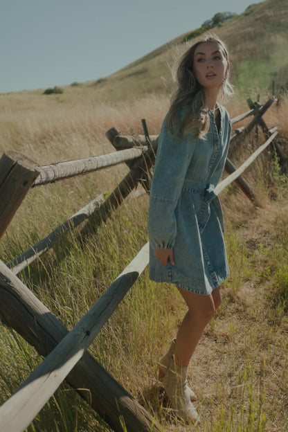 Tora Denim Dress | Light Wash