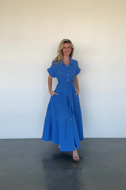 Aizey Button Up Maxi Dress | Blue