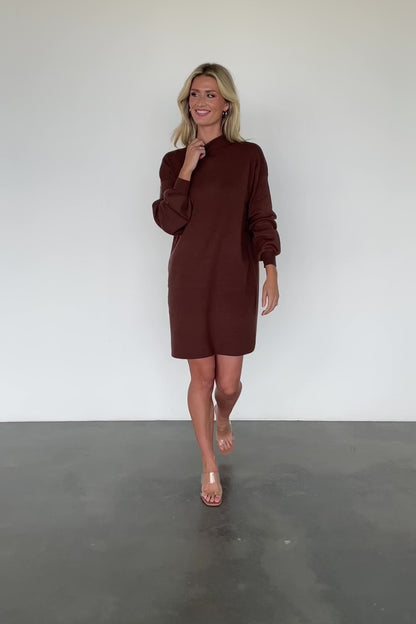 Jennings Sweater Dress | Brown